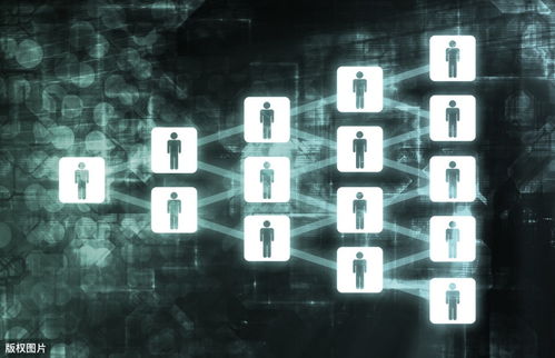 整合營銷傳播在上?；ヂ摼W銷售中的應用 以客戶關系為核心驅動